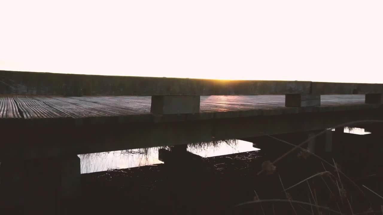 Stock Video A Small Pedestrian Bridge In A Forest Live Wallpaper For PC