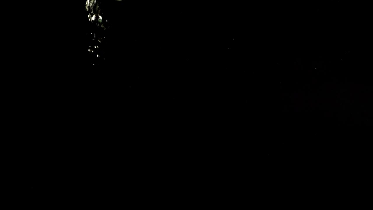 Stock Video Bubbles Under Water On Black Background Live Wallpaper For PC