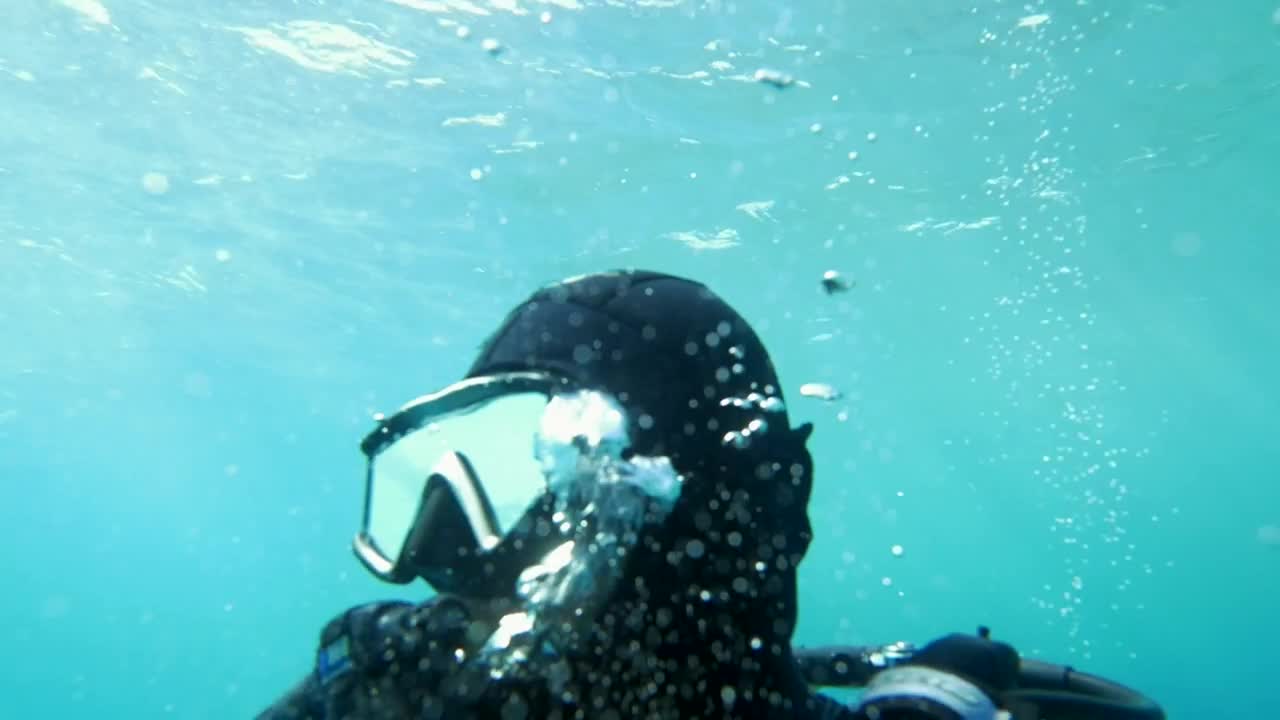 Stock Video Bubbles Rising From A Diver Live Wallpaper For PC
