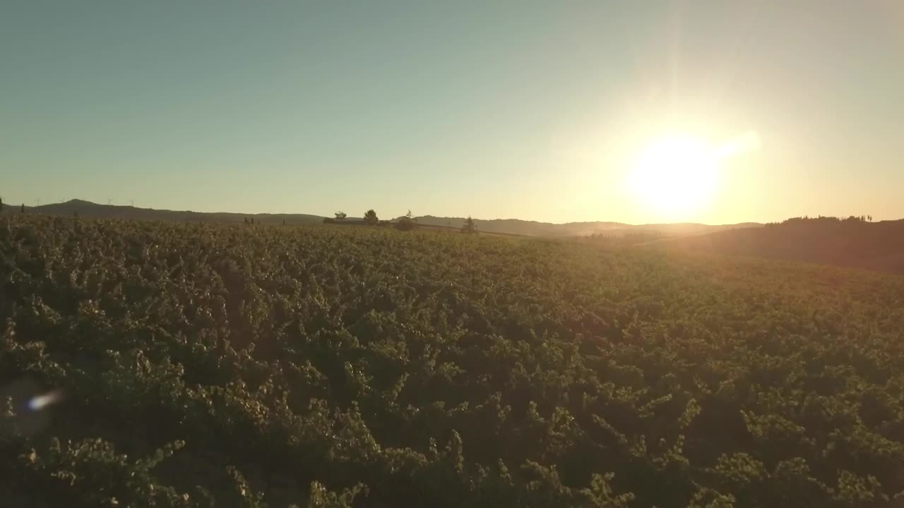 Stock Video Bright Sunshine Over The Countryside Live Wallpaper For PC
