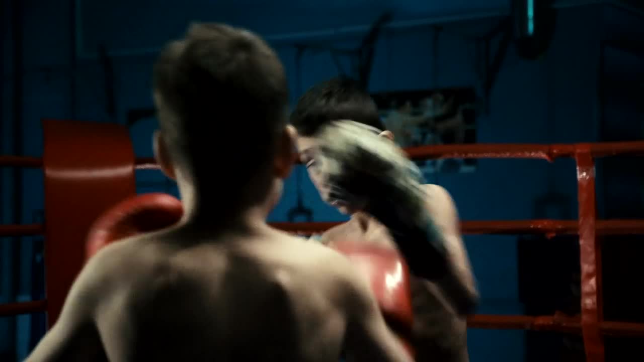 Stock Video Boys Training Box On The Ring Live Wallpaper For PC