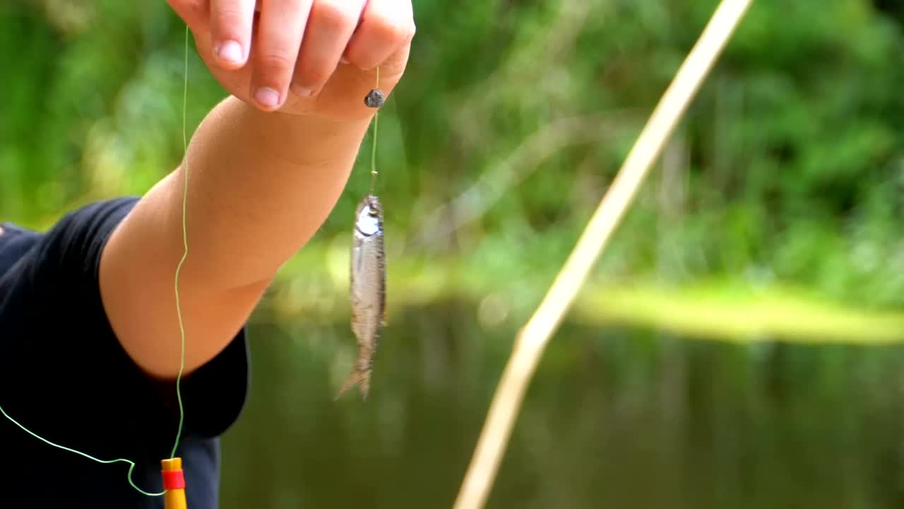 Stock Video Boy Holding A Fish Bait Live Wallpaper For PC