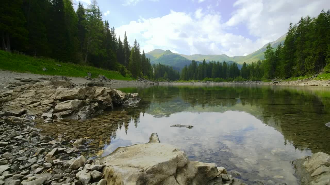 Stock Video Body Of Water In The Middle Of A Forest Near Live Wallpaper For PC