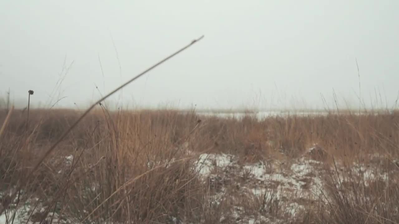 Stock Video Bleak Winter Landscape Live Wallpaper For PC