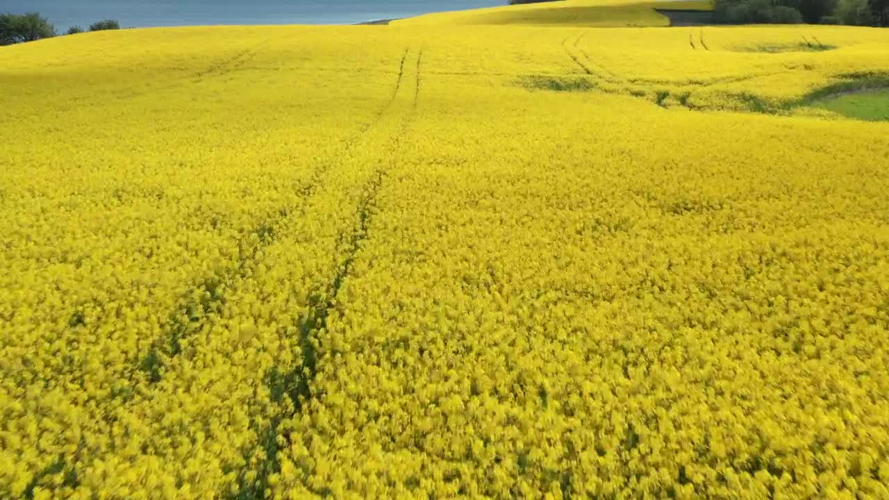 Video Stock Cloud Shadows Rolling Over A Field Live Wallpaper For PC