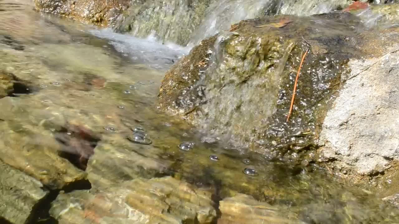 Video Stock Clear Stream In A Park Live Wallpaper For PC