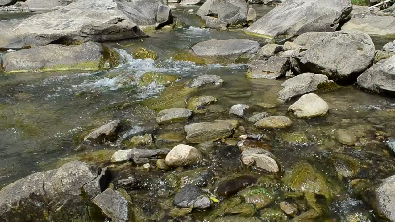 Video Stock Clear And Shallow River Live Wallpaper For PC