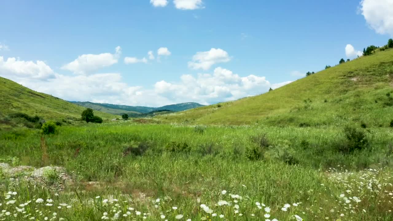Video Stock Cinematic Aerial View Of Countryside Meadow Live Wallpaper For PC