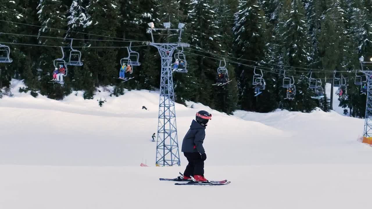 Video Stock Children Skiing On The Plain Of A Pine Forest Live Wallpaper For PC