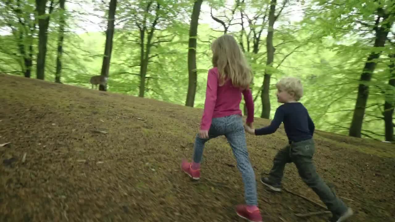 Video Stock Children Petting A Deer Live Wallpaper For PC