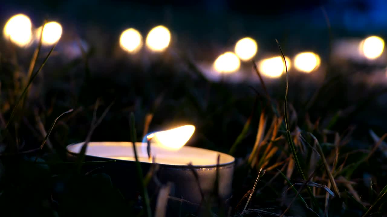 Video Stock Candles In The Garden At Night Live Wallpaper For PC