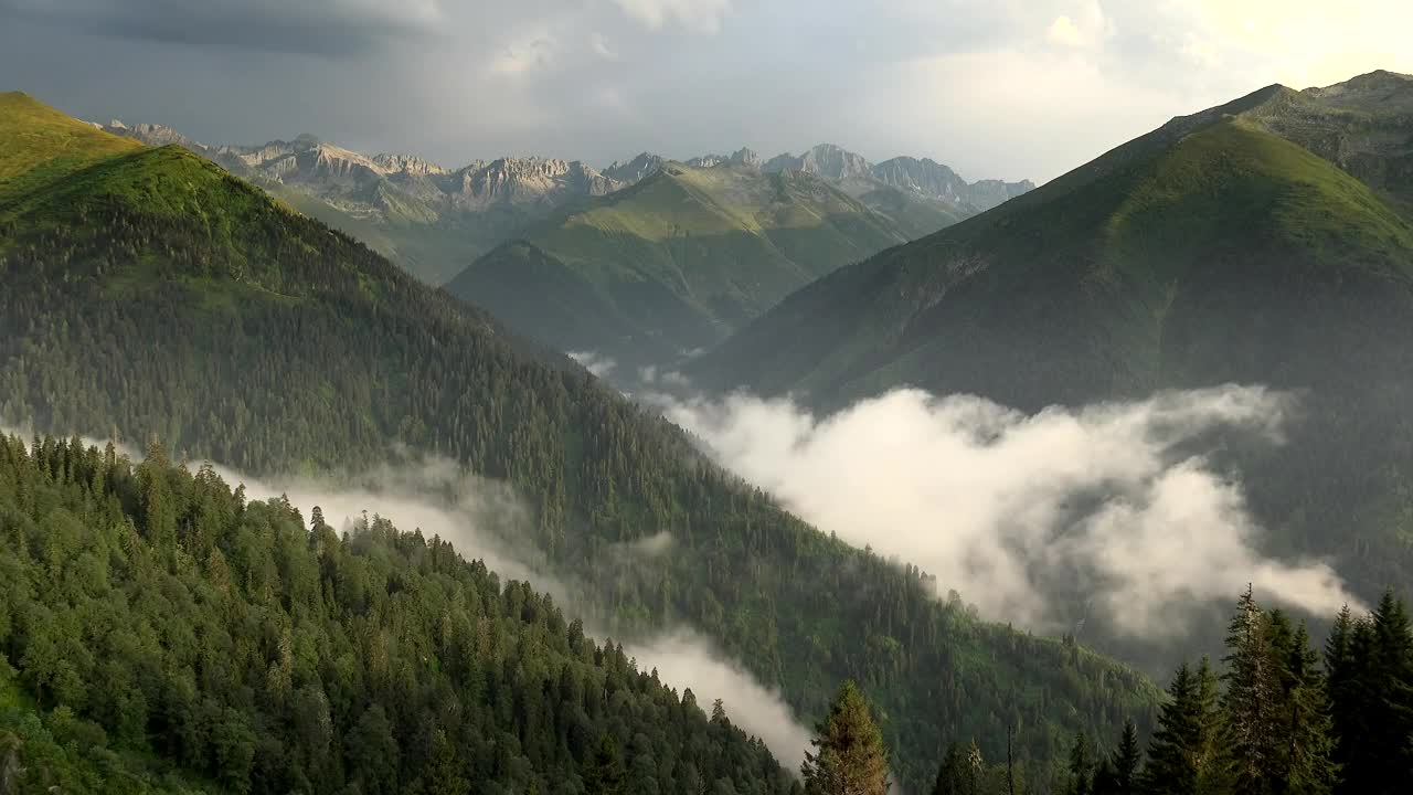 Video Stock Clouds Forming In The Mountain Forest Live Wallpaper For PC