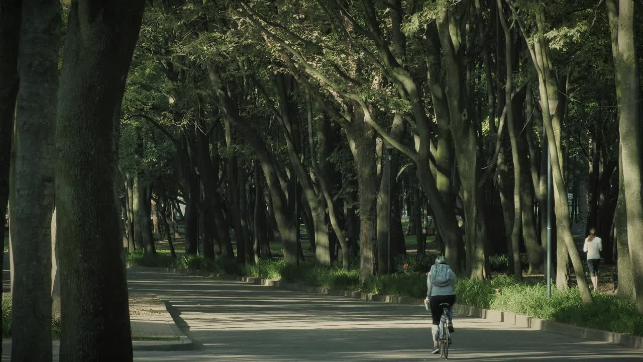 Stock Video Cyclist In The Park Live Wallpaper For PC