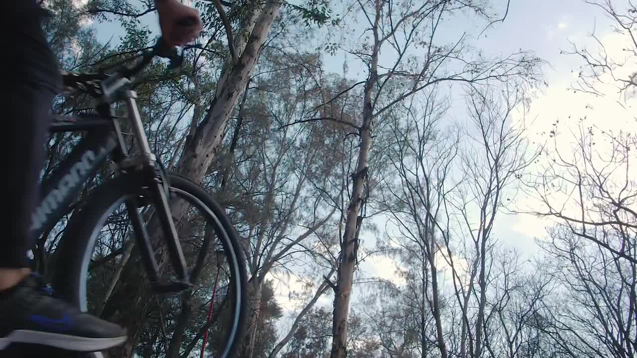 Stock Video Cyclist Going Up A Slope In A Forest Live Wallpaper For PC