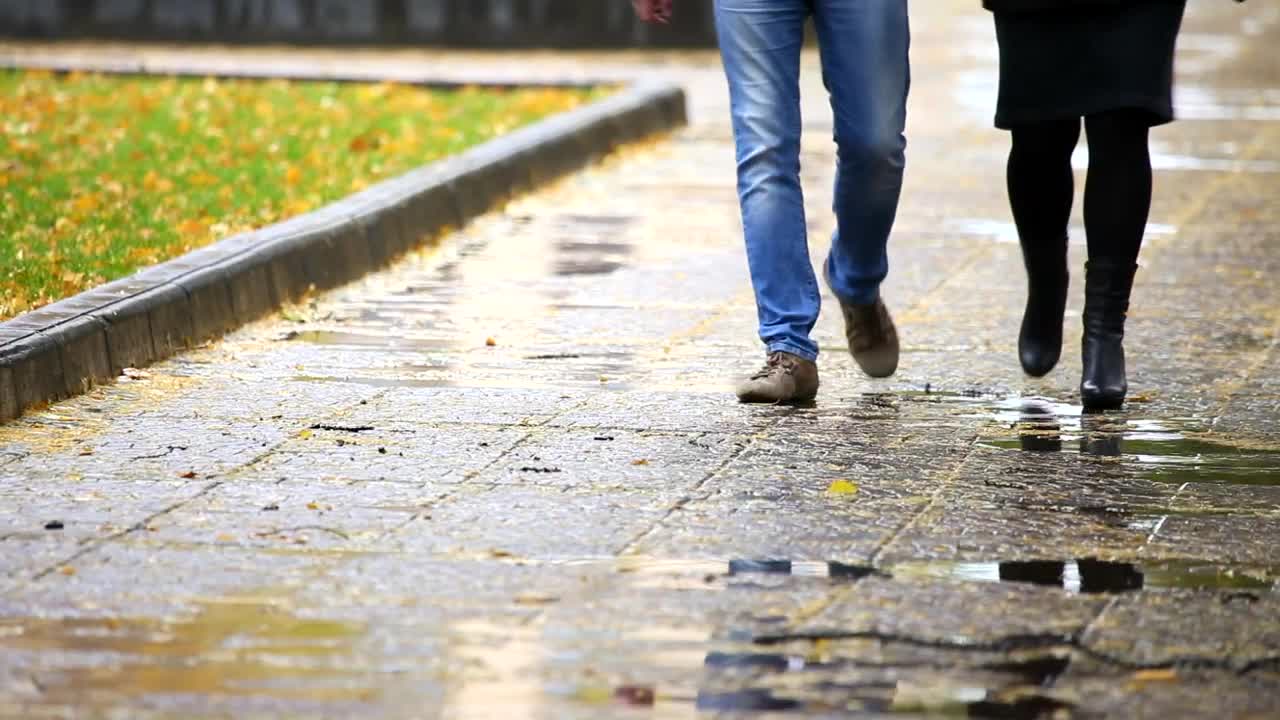 Stock Video Couple Walking On A Rainy Day Low View Live Wallpaper For PC
