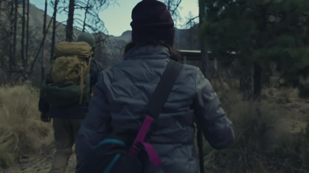 Stock Video Couple Walking In The Forest Live Wallpaper For PC
