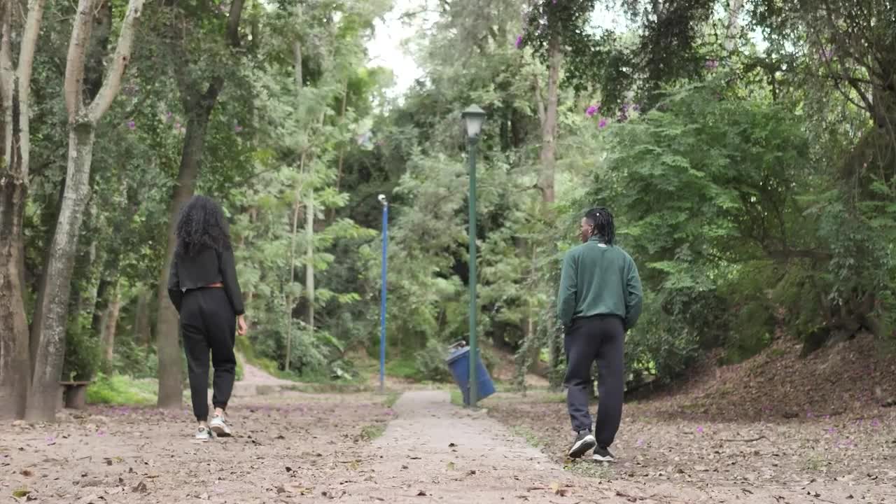 Stock Video Couple Of Man And Woman Walking Apart Through A Forest Live Wallpaper For PC