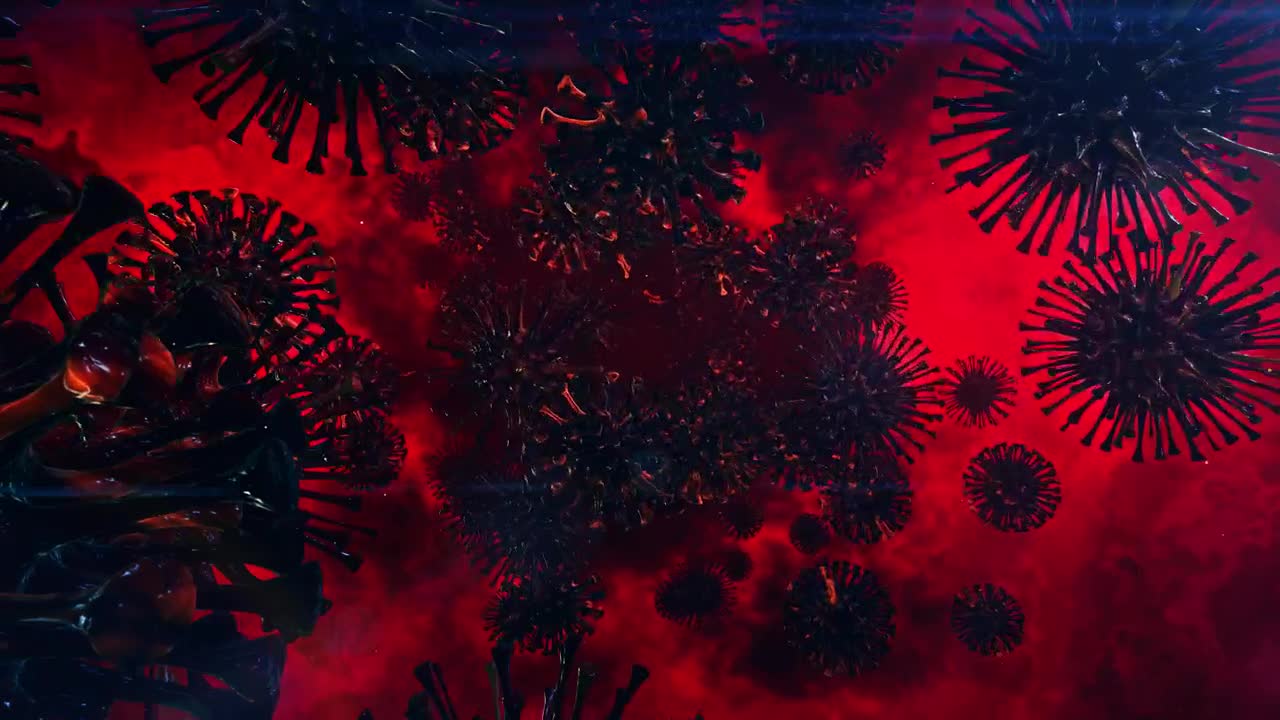Stock Video Coronavirus Floating In The Human Body Live Wallpaper For PC