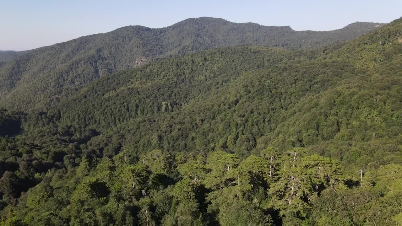 Stock Video Cordillera Lined With Trees On A Sunny Day Live Wallpaper For PC