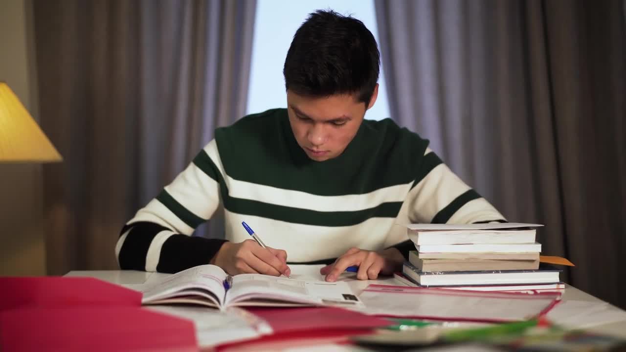 Stock Video Concentrated Boy Studying At Home Live Wallpaper For PC