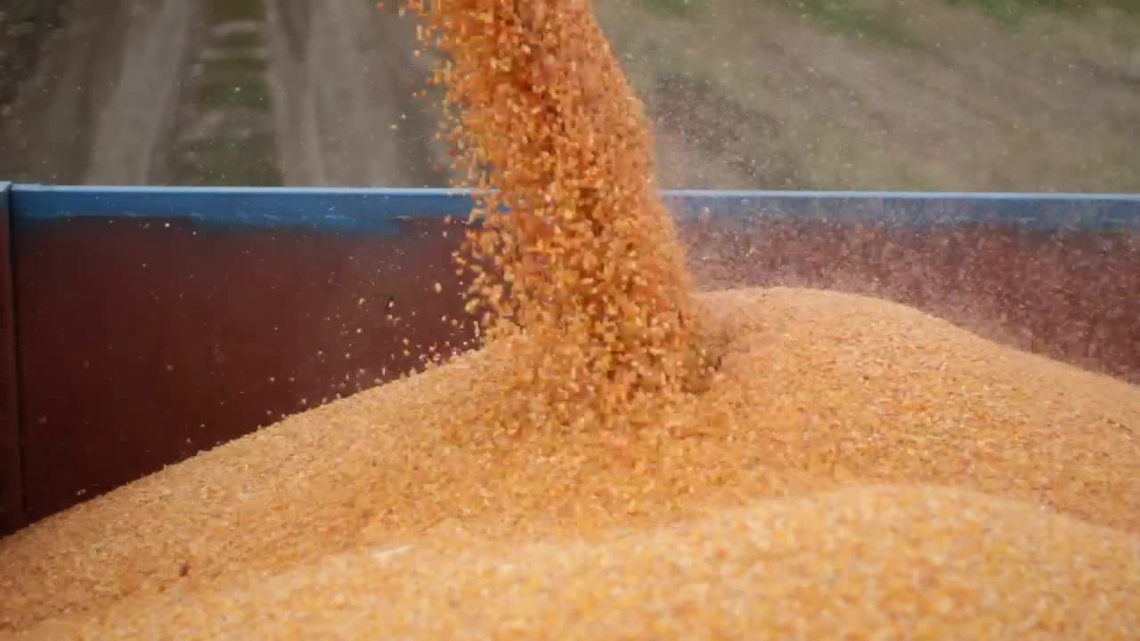 Stock Video Combine Harvester Unloading Live Wallpaper For PC