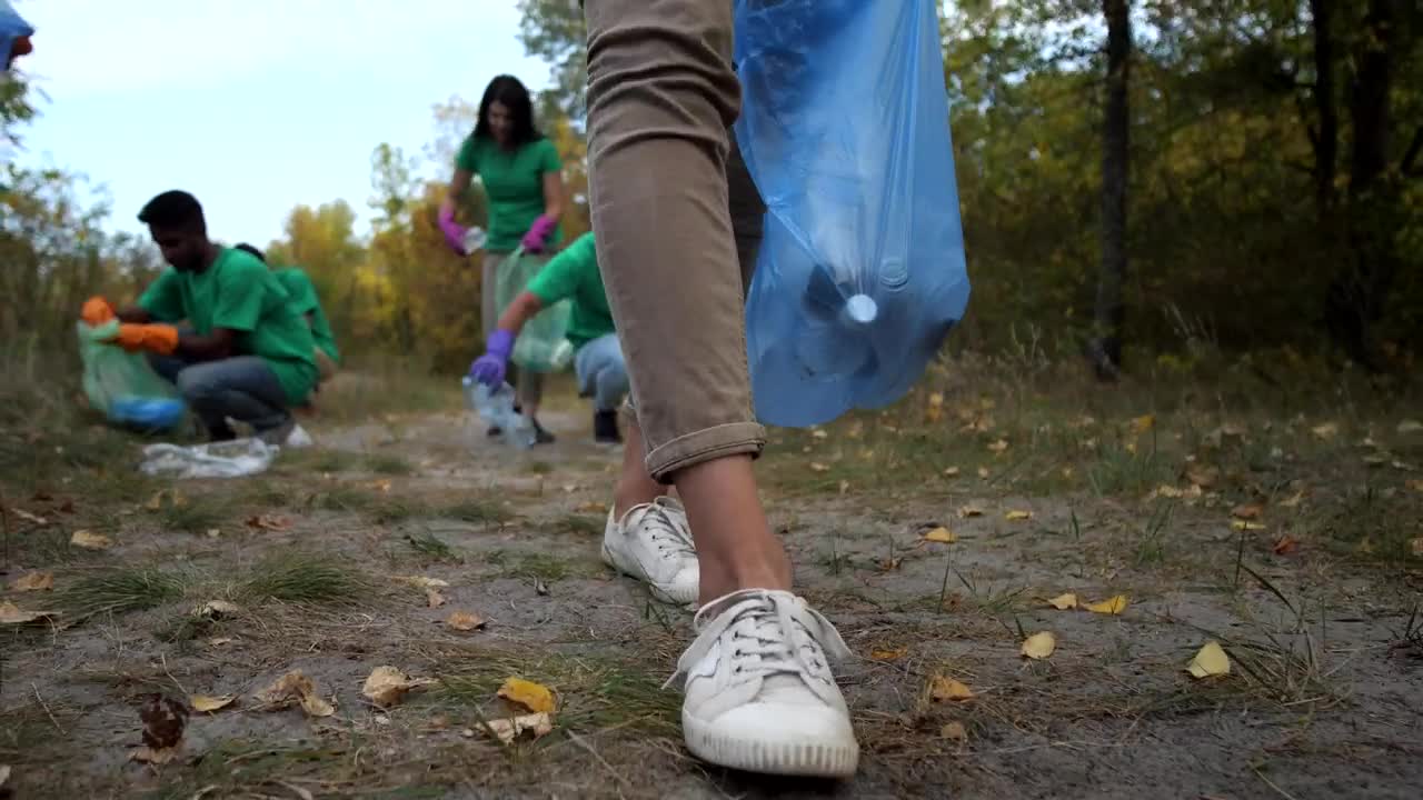 Stock Video Collecting Rubbish Left In A Forest Live Wallpaper For PC