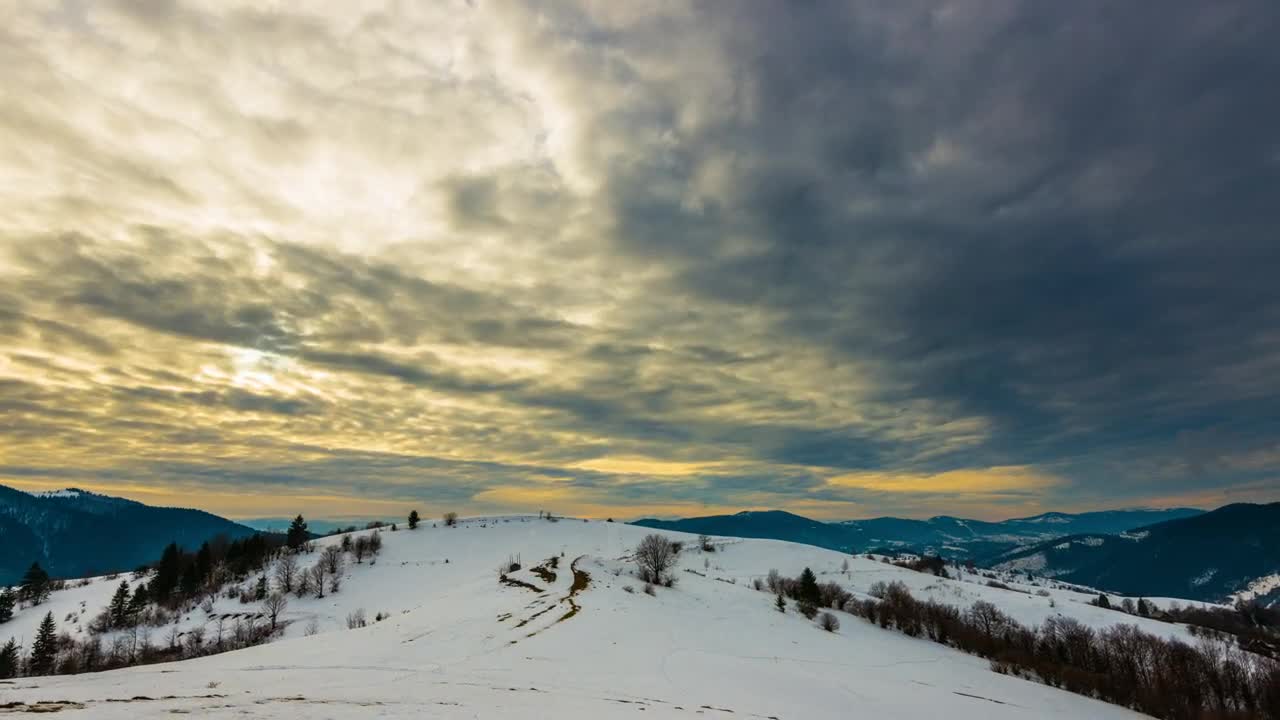 Stock Video Cloudy Day In A Winter Forest Live Wallpaper For PC