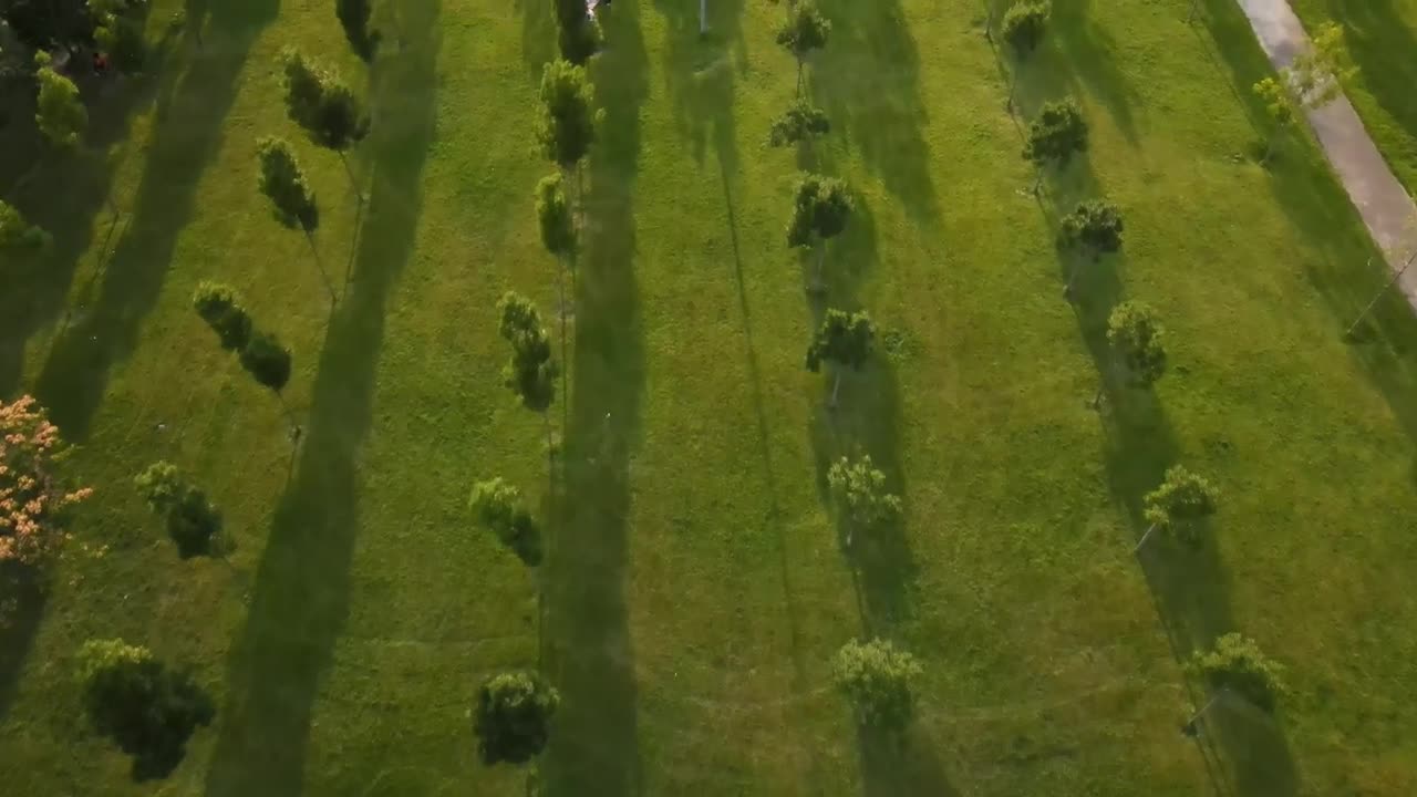Stock Video Empty Park After Coronavirus Pandemic Live Wallpaper For PC