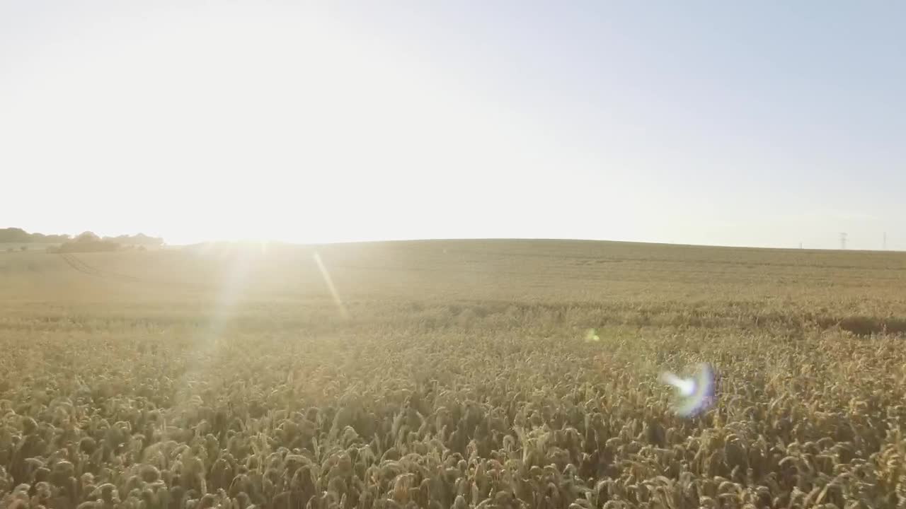 Stock Video Drone Flying Over The Countryside Live Wallpaper For PC