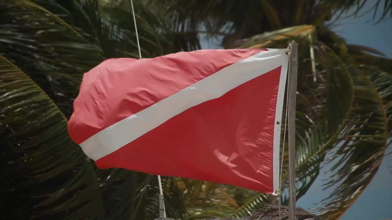 Stock Video Diver Flag Blowing In The Wind Live Wallpaper For PC