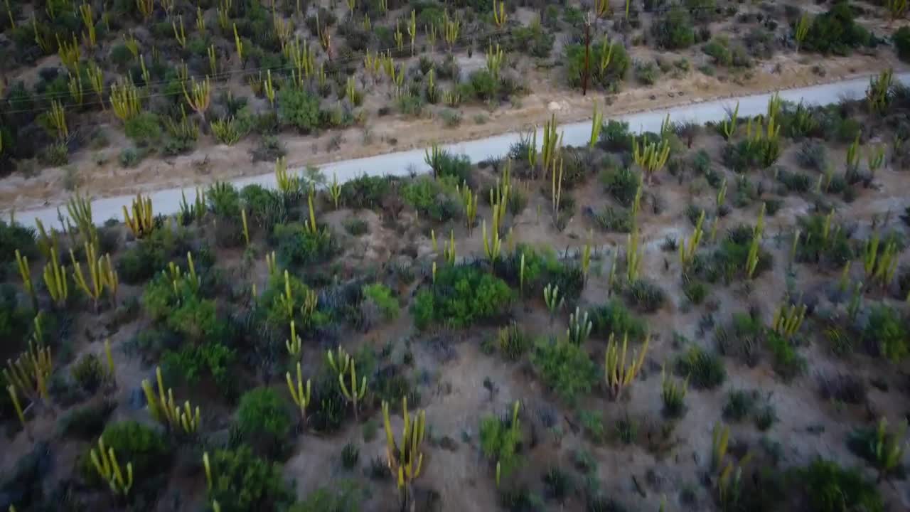Stock Video Flying Over A Field Full Of Vegetation Live Wallpaper For PC