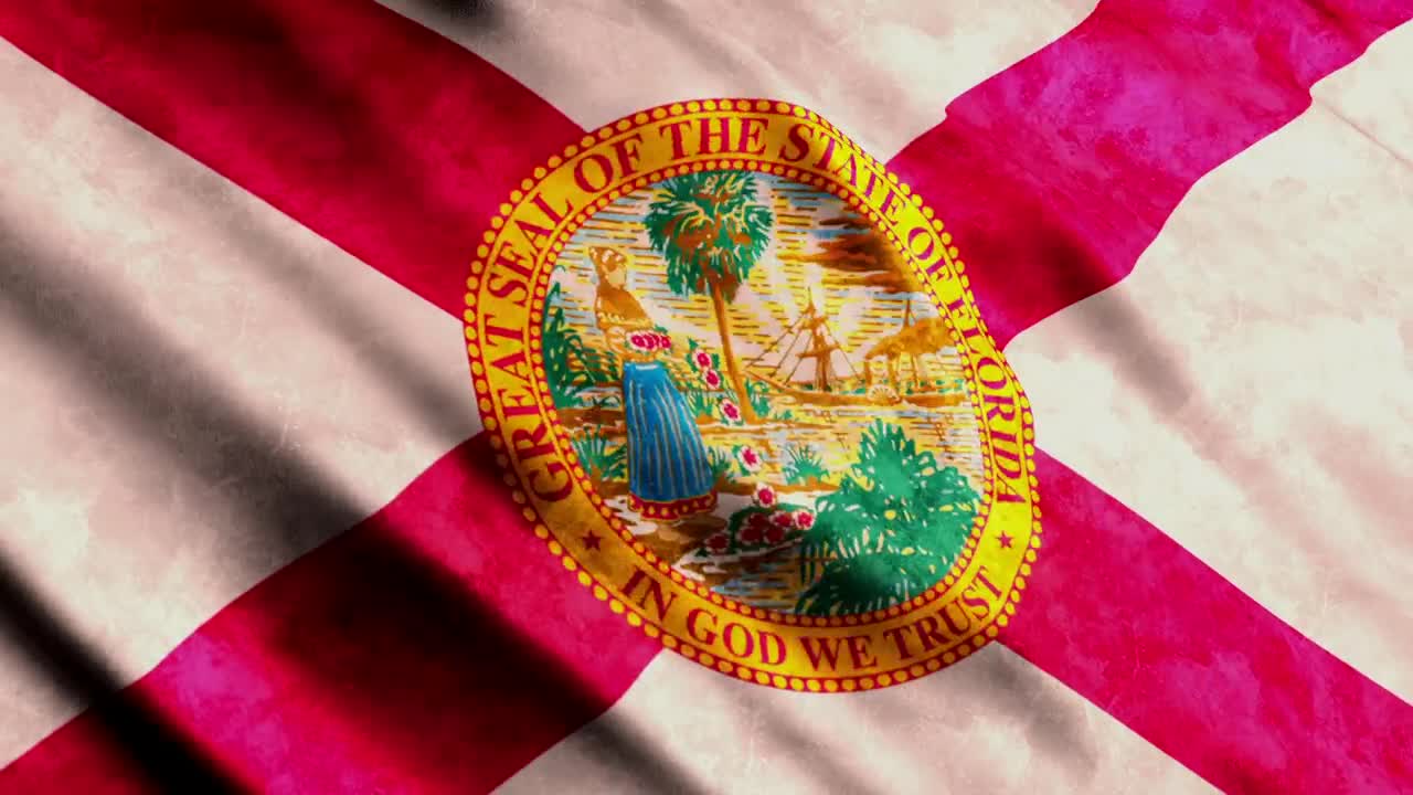 Stock Video Florida State Flag Live Wallpaper For PC