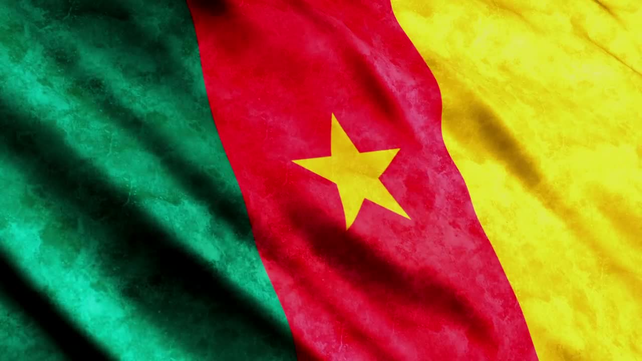 Stock Video Flag Of The African Nation Of Cameroon Live Wallpaper For PC