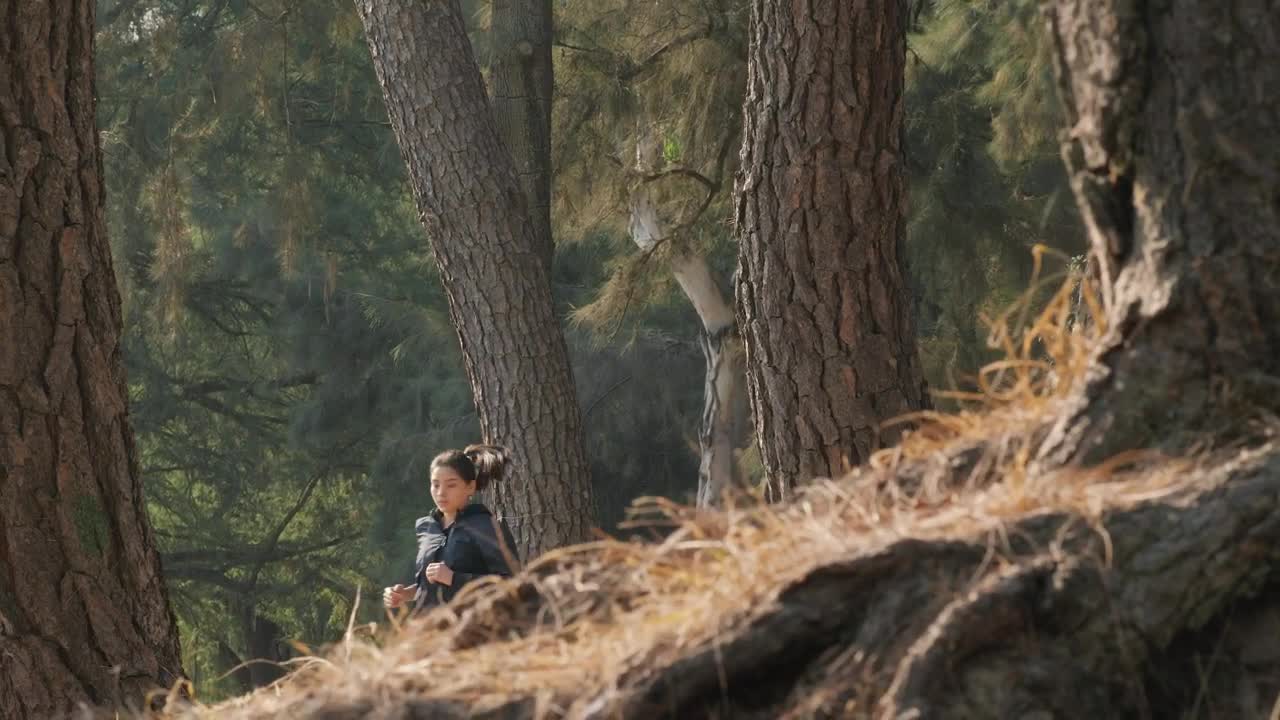 Stock Video Fitness Girl Running Through A Forest Live Wallpaper For PC