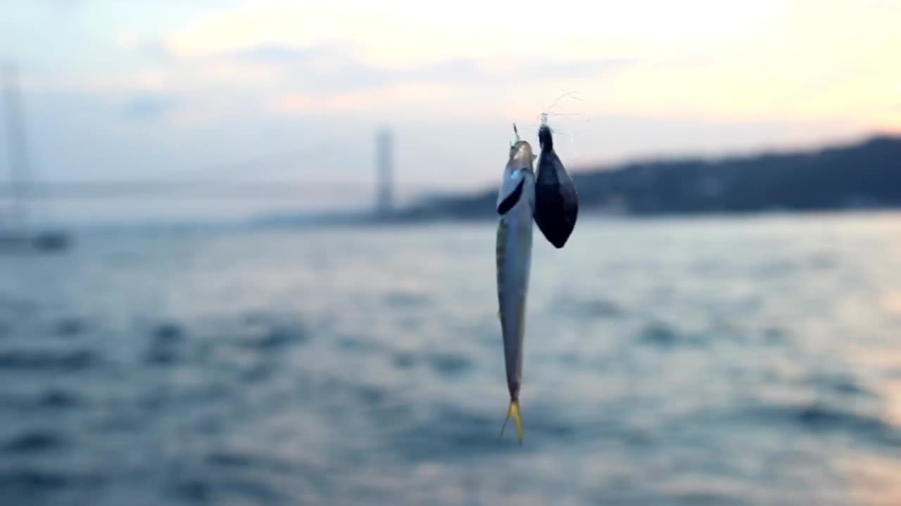 Stock Video Fishing In The River Live Wallpaper For PC