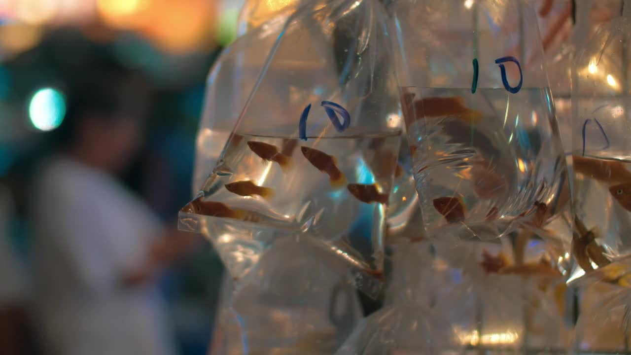 Stock Video Fish For Sale At A Market Stall Live Wallpaper For PC