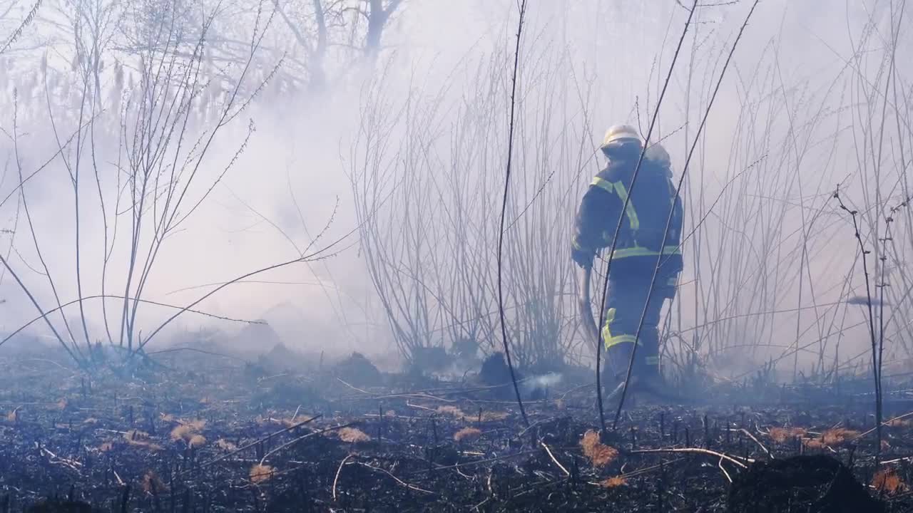 Stock Video Firefighters Extinguishing A Fire In The Woods Live Wallpaper For PC