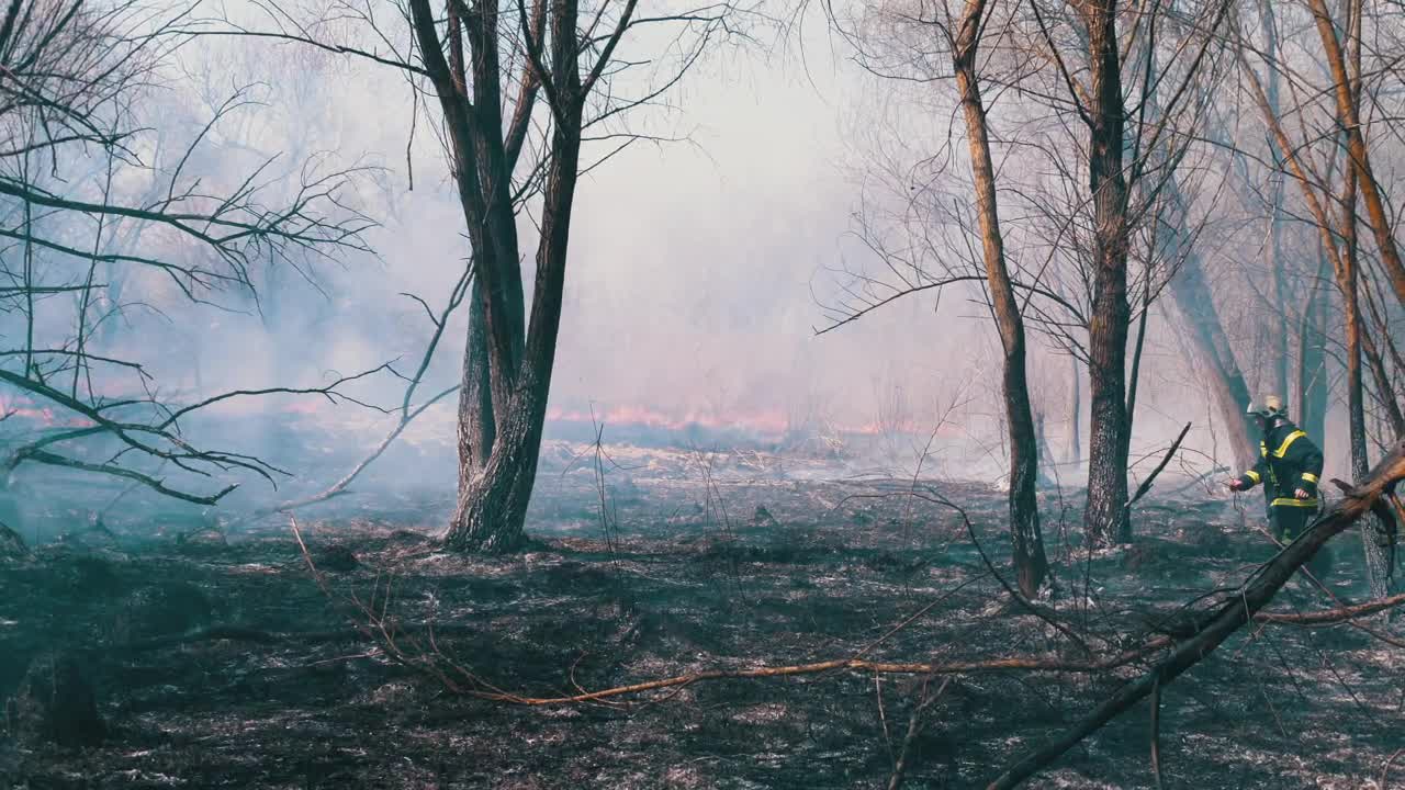 Stock Video Firefighter Running In A Fire In The Forest Live Wallpaper For PC