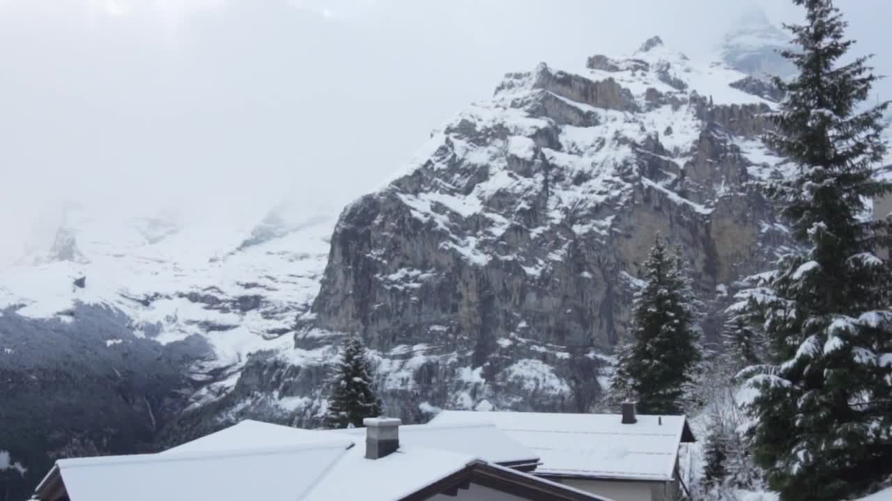 Stock Video Fir Trees In Snowy Mountain Town Live Wallpaper For PC