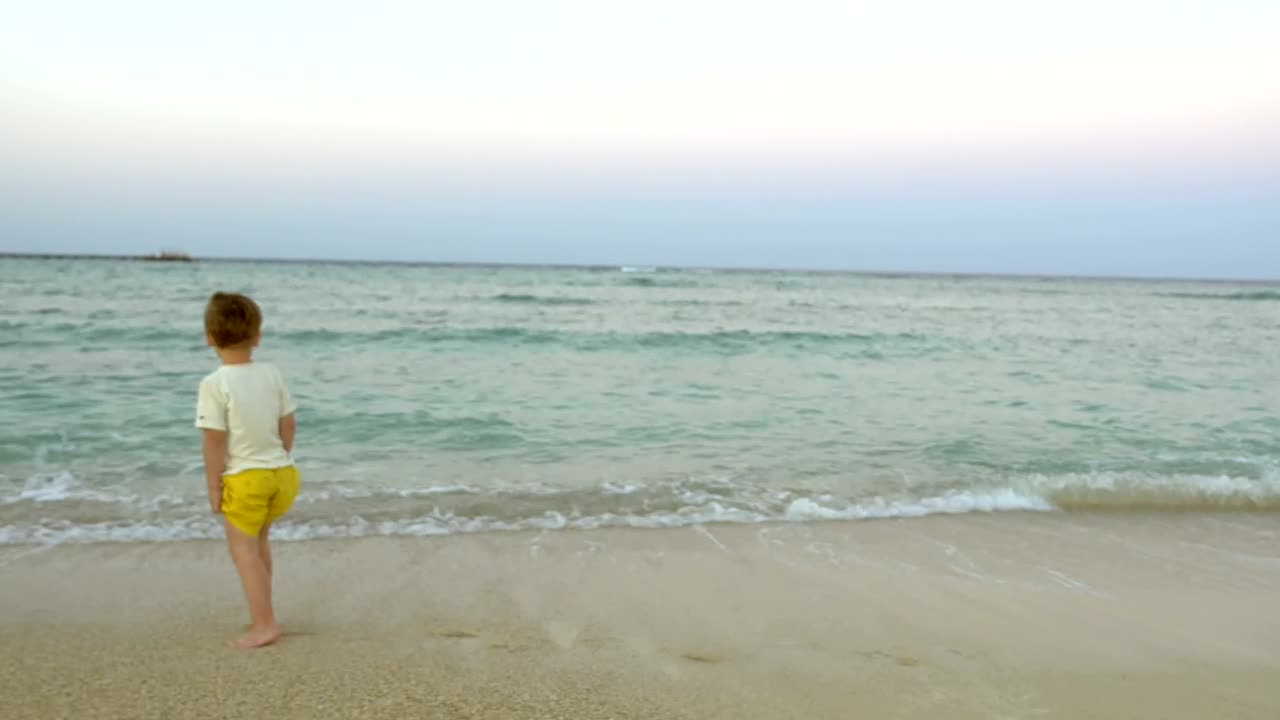 Stock Video Father Playing In The Waves With His Son Live Wallpaper For PC