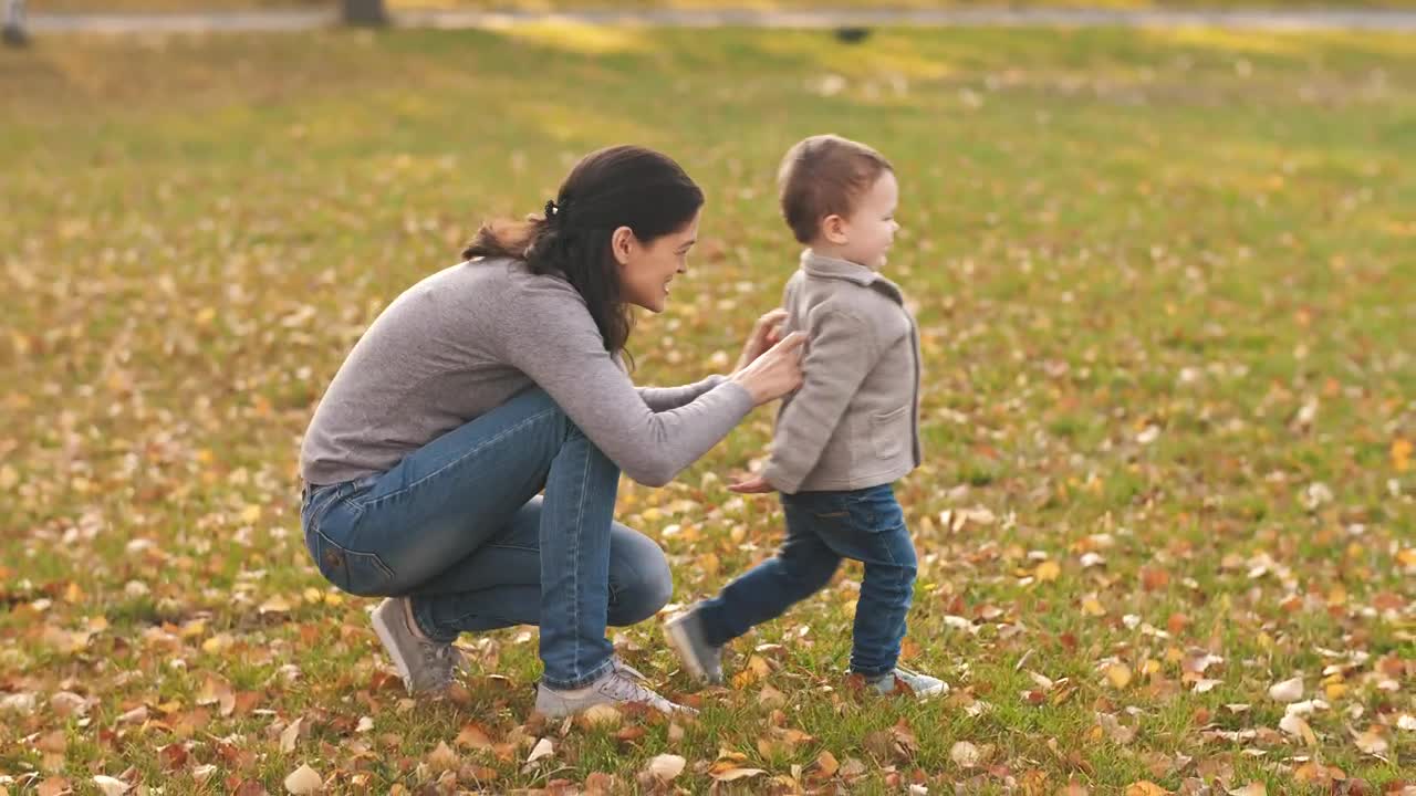 Stock Video Family Spending Time Together In The Park Live Wallpaper For PC