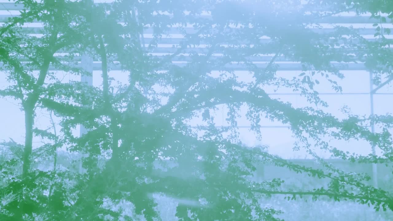 Stock Video Greenhouse And The Sun Live Wallpaper For PC