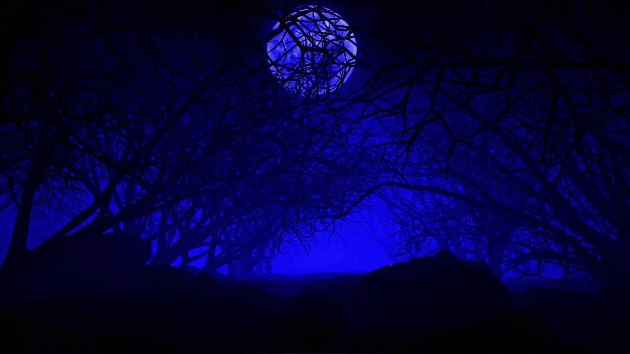 Stock Video Gloomy Forest Of Dry Trees And The Moon Digital Tour Live Wallpaper For PC