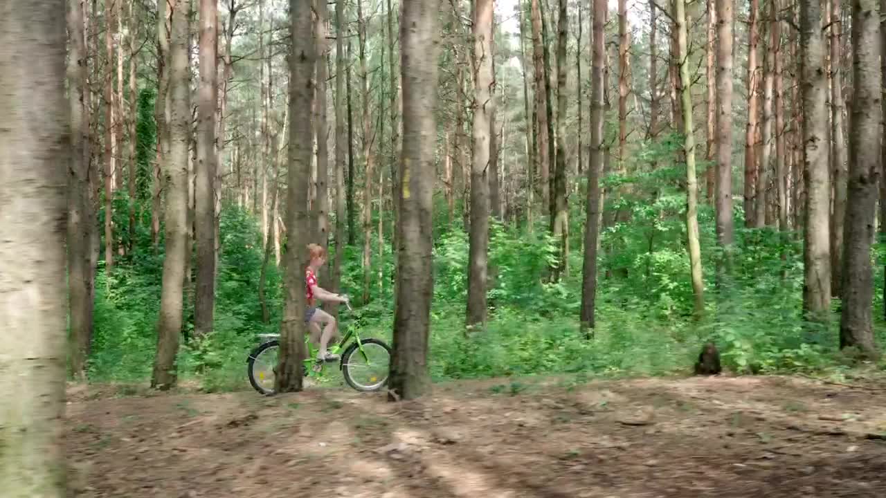 Stock Video Girl Riding A Bicycle Through A Forest Live Wallpaper For PC
