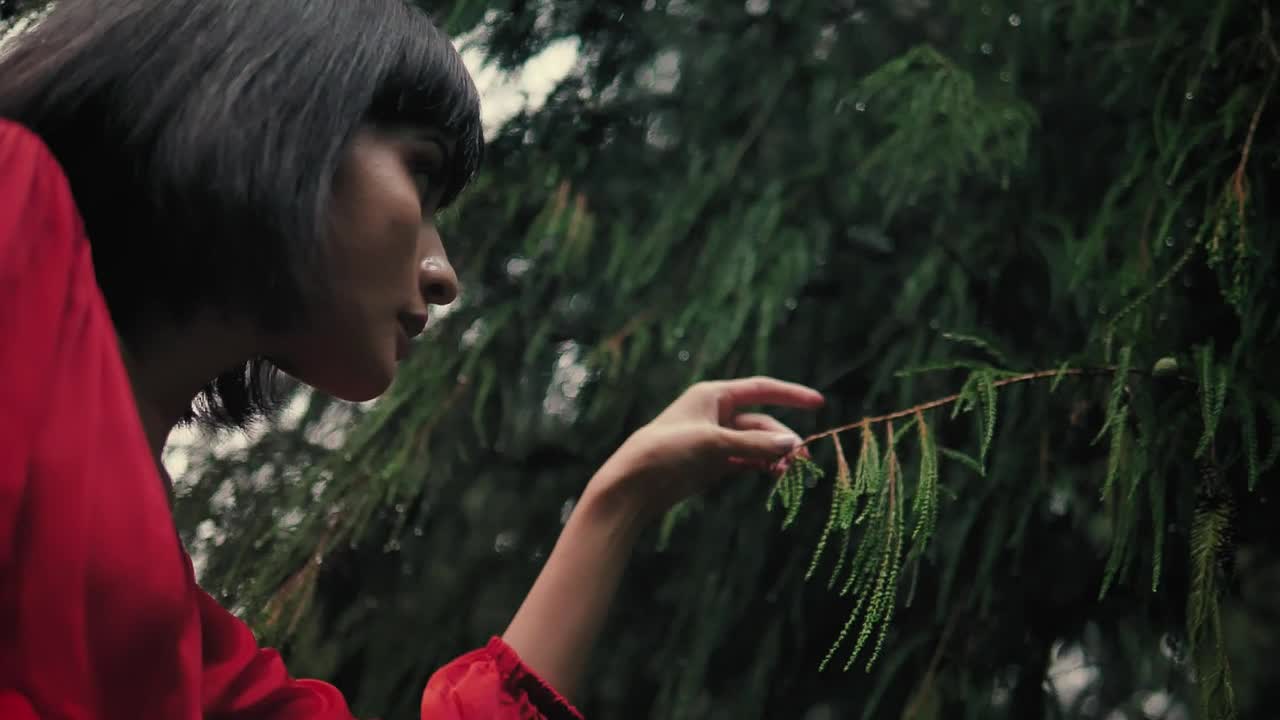 Stock Video Girl Gently Touching The Branches Of A Pine Tree In Live Wallpaper For PC