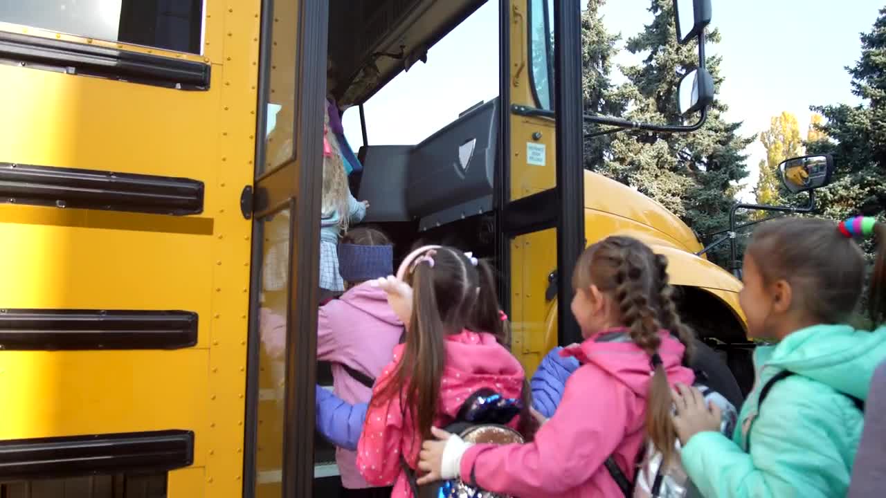 Stock Video Getting Ready For A School Trip Live Wallpaper For PC