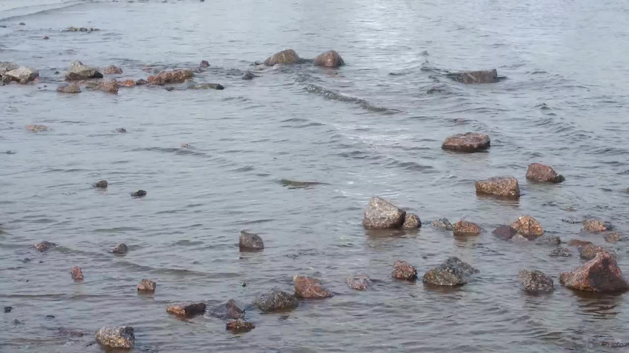 Stock Video Gentle Waves Over Pebbles Live Wallpaper For PC