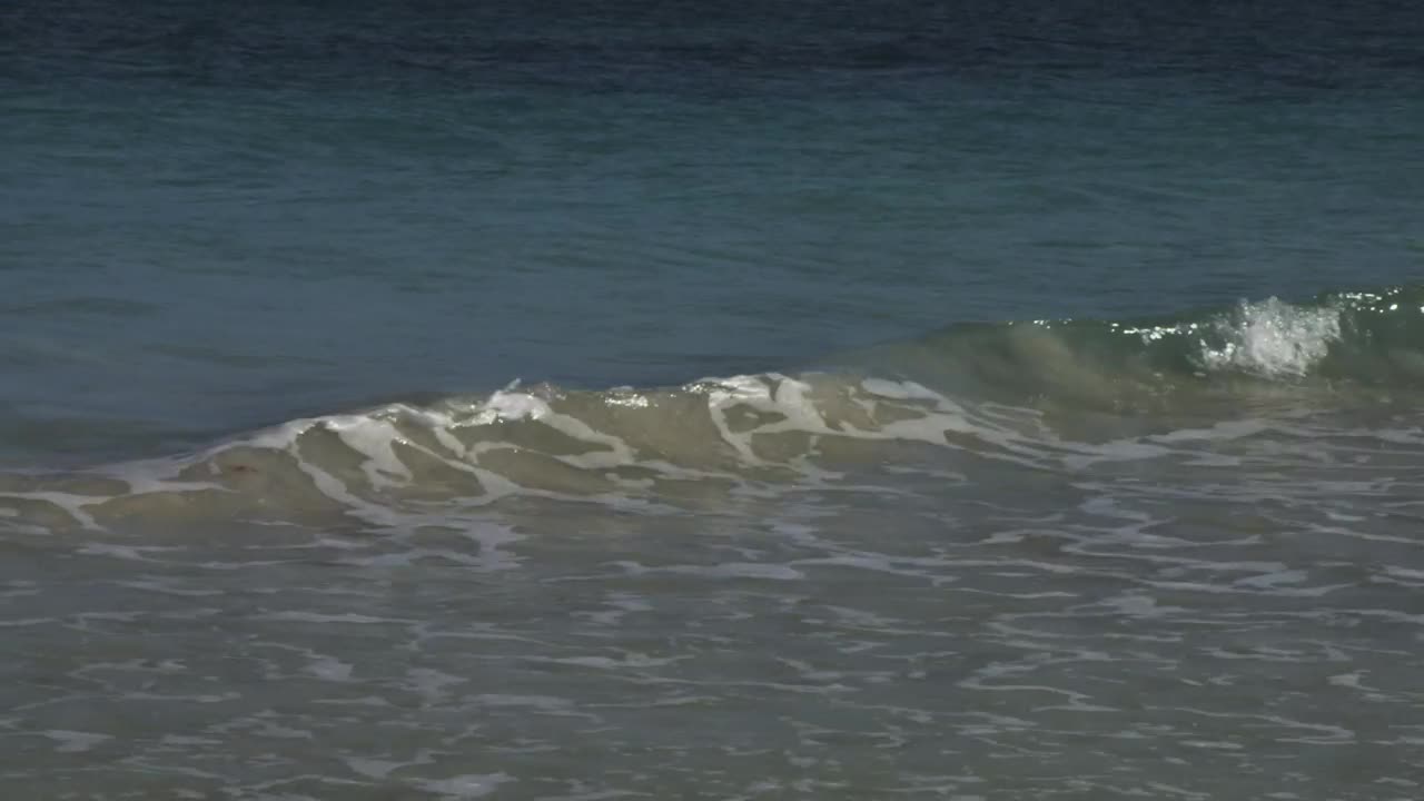 Stock Video Gentle Waves On Tulum Beach Live Wallpaper For PC