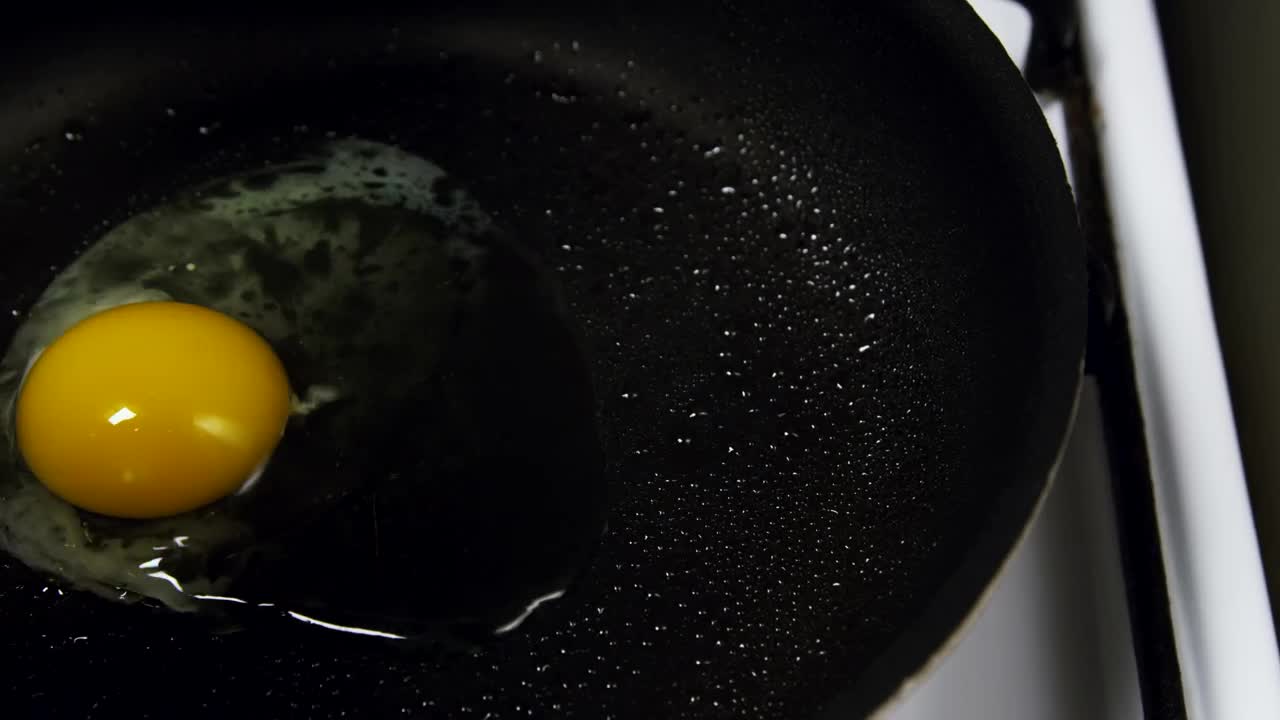 Stock Video Frying An Egg In Hot Oil Live Wallpaper For PC