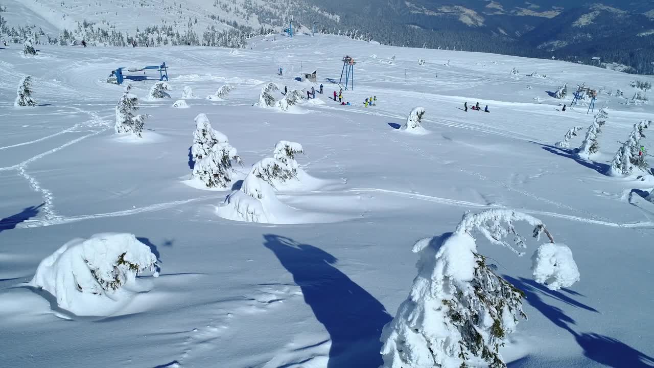Stock Video Frozen Pine Trees Filled With Snow Near A Ski Area Live Wallpaper For PC